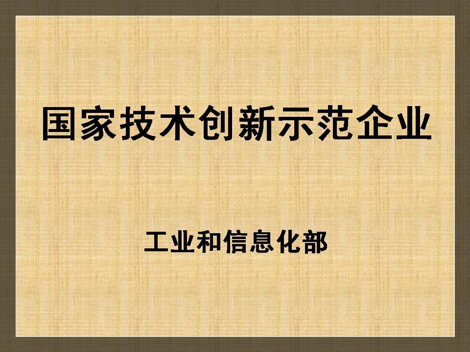 国家技术创新示范企业