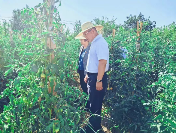 {15d95b20-f045-42ce-b17d-a1bf95e7d559}