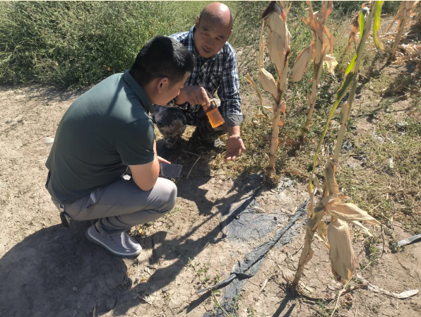 {28bb31ec-f92a-4913-ba54-d57119303f56} {28bb31ec-f92a-4913-ba54-d57119303f56}