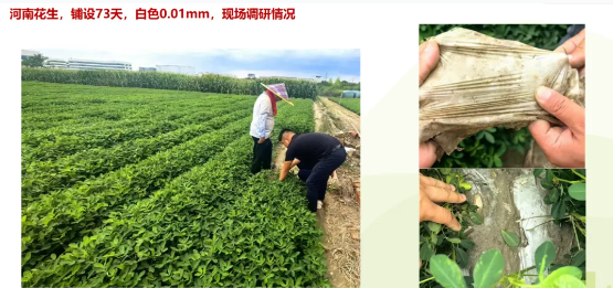 {a3c9b17f-ffa6-4d5c-a4aa-54379daa9d71}