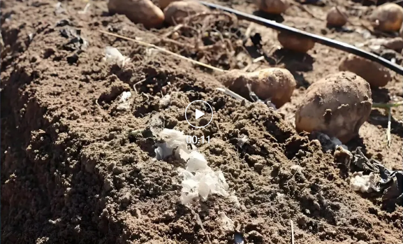 {9aeed370-6263-4754-b4e9-1cbbc448d10d}