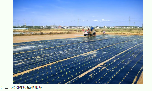 {d92328a4-21d4-451a-8bf2-57ae9a2207bf}